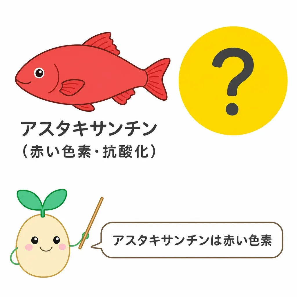 強い抗酸化――でも「塗ったように変わる」わけではありません。