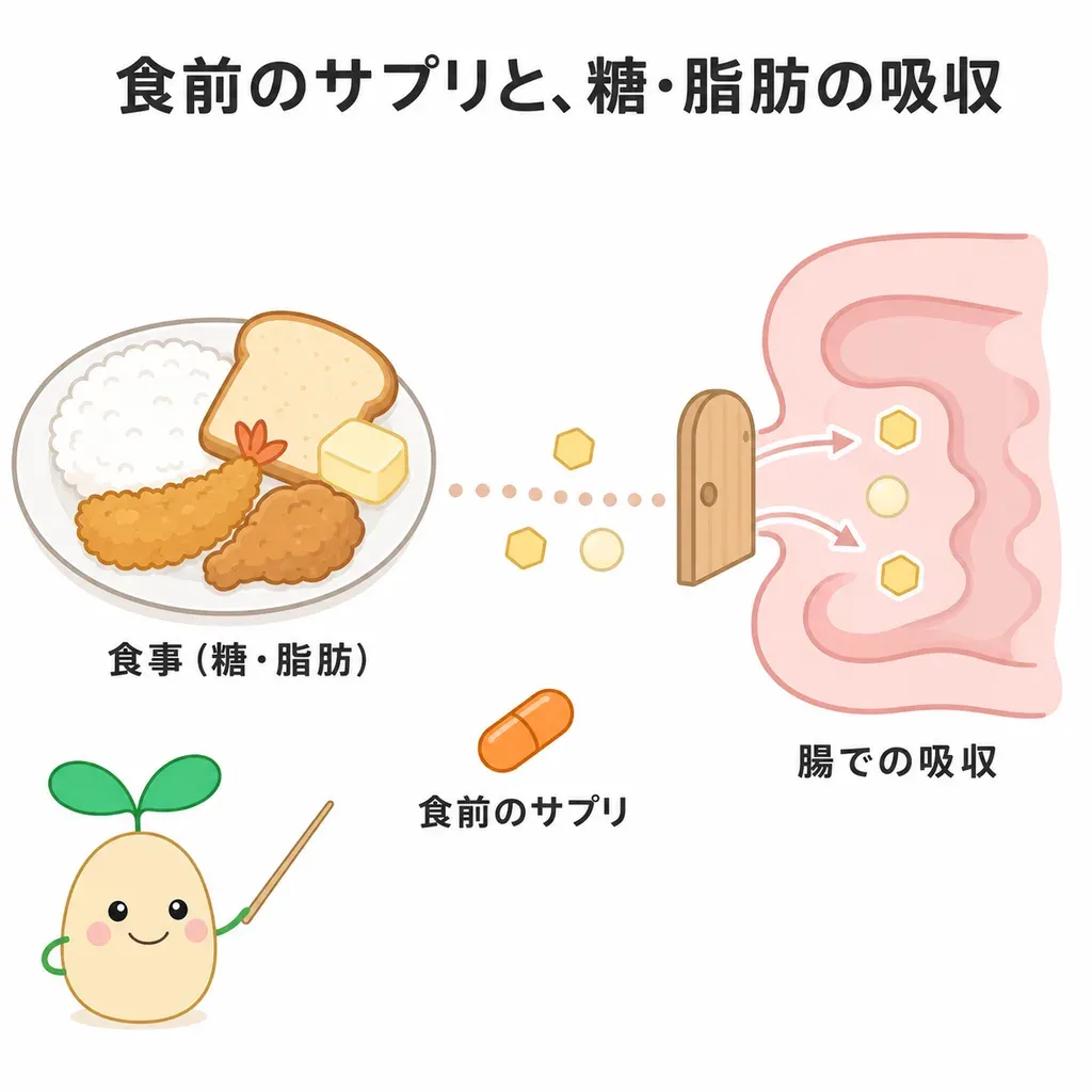 「食前に飲む」系は、吸収を少しゆるやかにするのが役割です。