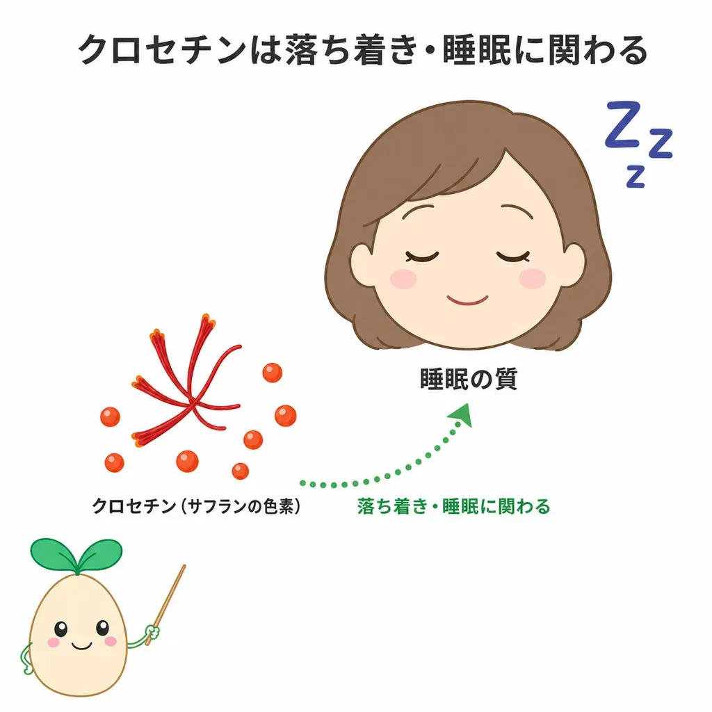 クロセチン(サフラン由来の色素)が気持ちの落ち着きや体の酸化ストレスとの関わりで研究され、睡眠の質が良くなるとの報告があることを示すイメージ