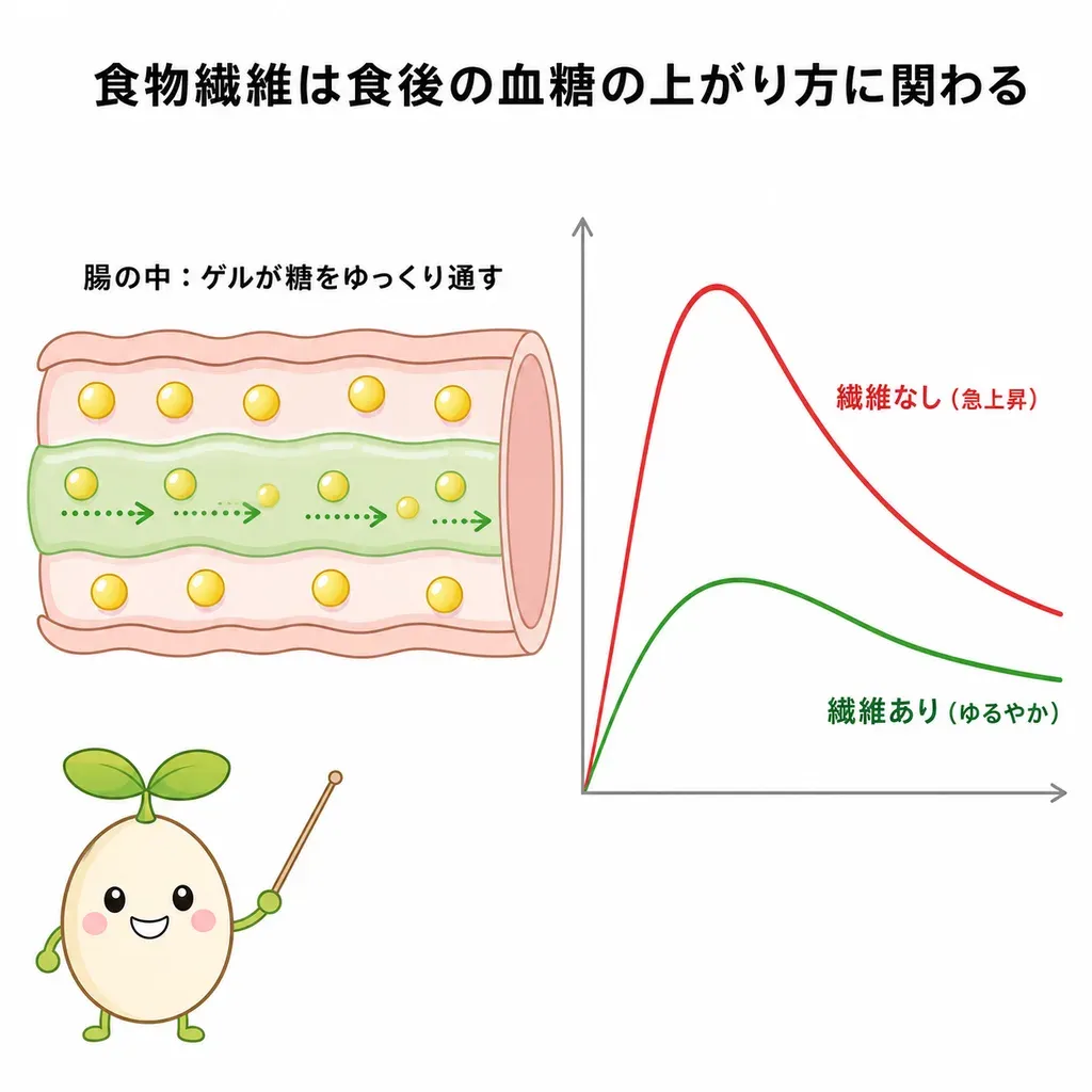 水溶性食物繊維が糖の吸収をゆるやかにし、食後の血糖の上がり方をおだやかにするイメージ