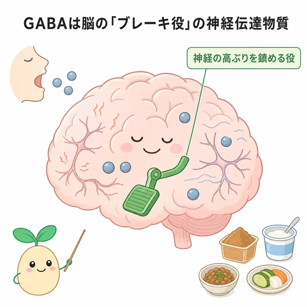 GABAが体の中でどんなはたらきに関わるかをやさしく示した図