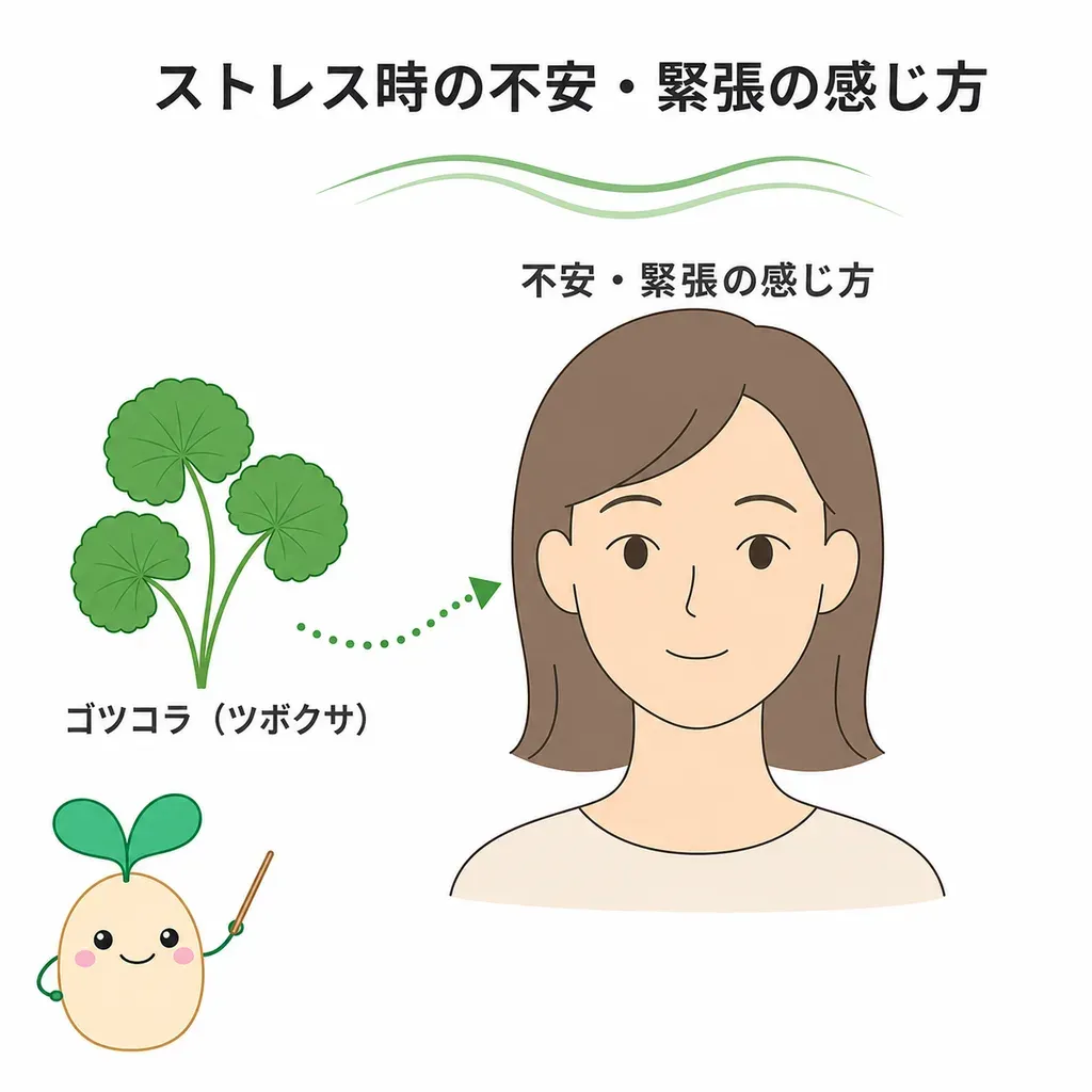 ゴツコラ（ツボクサ）が気持ちの落ち着きに関わると研究される一方、ヒトでの研究は小規模で裏づけが限られていることを示すイメージ