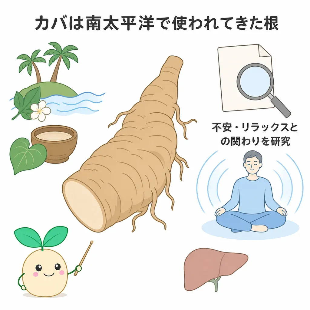 カバが体の中でどんなはたらきに関わるかをやさしく示した図