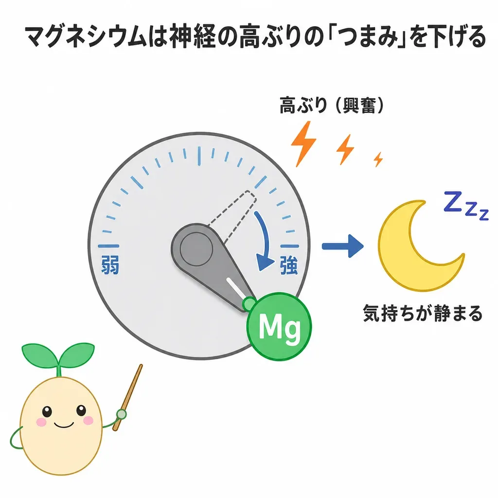 マグネシウムが神経の高ぶりを鎮め、リラックスを後押しするイメージ