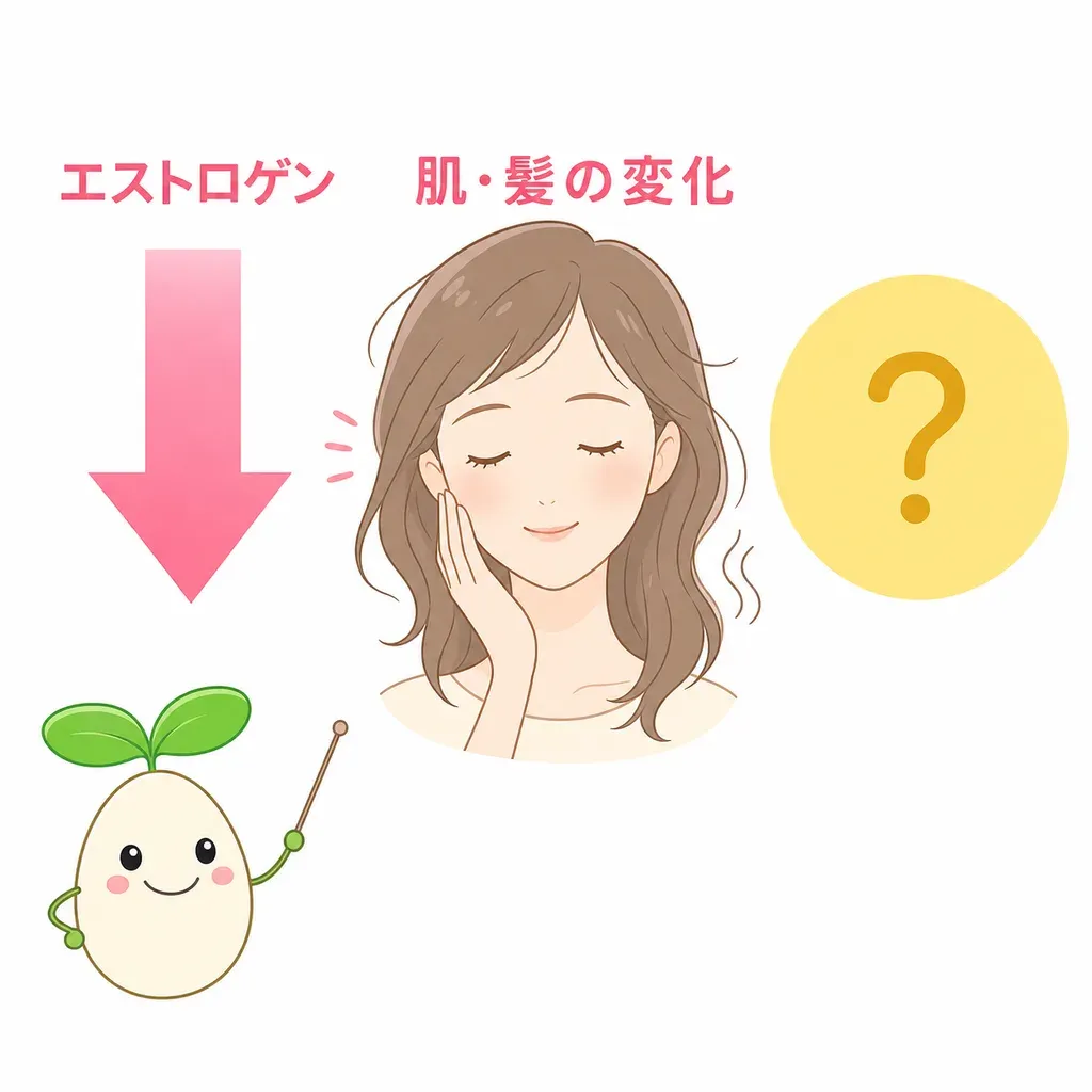 ホルモンの変化が、肌や髪に映る時期です。