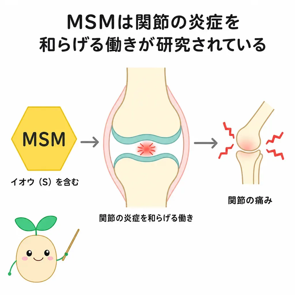 MSMがイオウを含む成分として炎症を和らげることが研究され、関節との関係が調べられている（効果は控えめ）イメージ