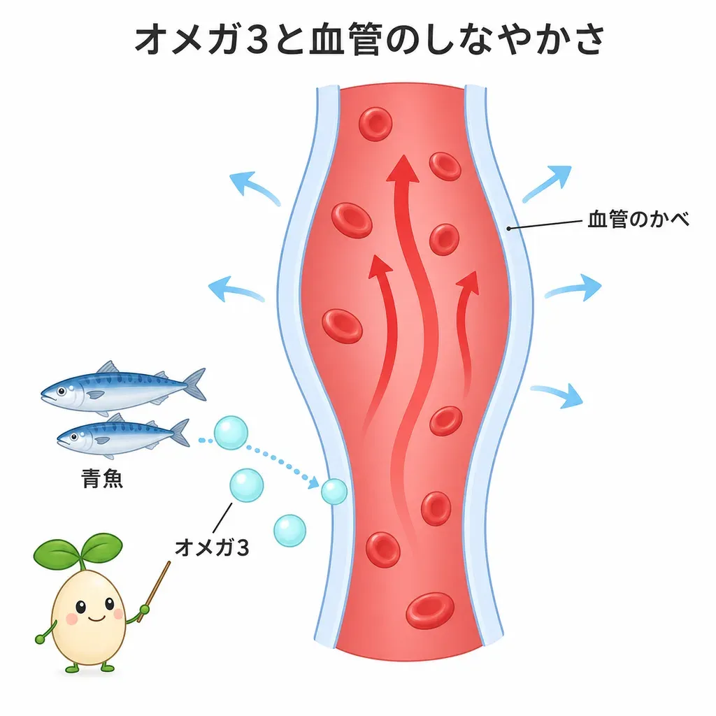 オメガ3が血管のかべに働き、しなやかに広がる状態を支えるイメージ