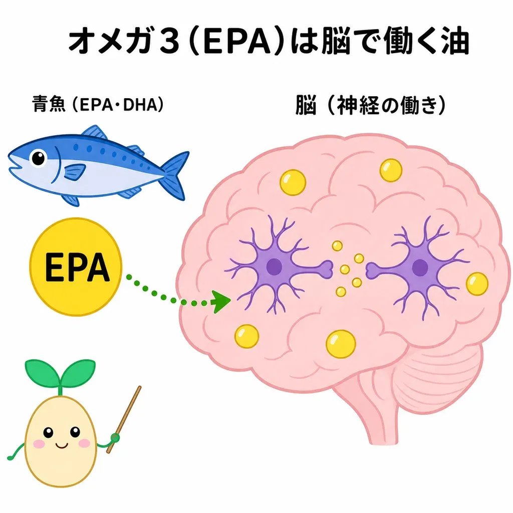 オメガ3(とくにEPA)が脳で働く油として、脳の神経の働きや気分とのつながりが研究されていることをやさしく示した図