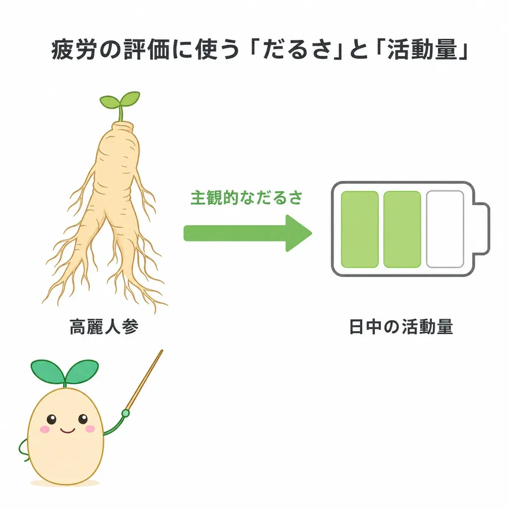 高麗人参が、体がストレスや疲れに対応するのを助ける働きが研究され、疲れ・活力との関係が調べられているイメージ