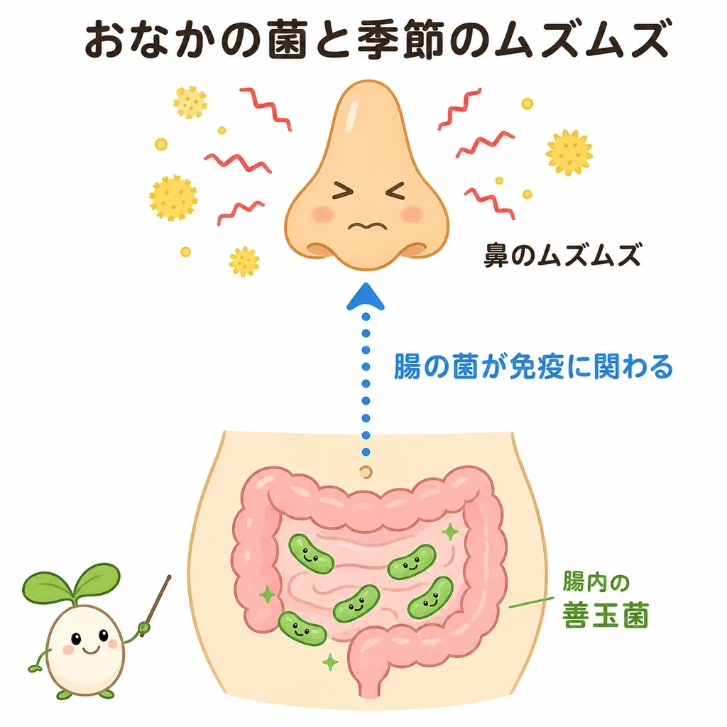 おなかの菌のバランスが免疫に関わり、季節のムズムズとの関連が研究されているイメージ